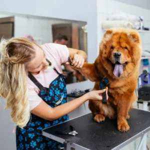 Pet Grooming