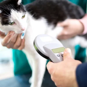 Pet Microchipping