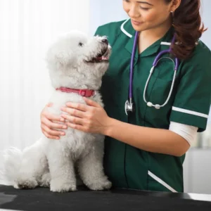 Pet Wellness Exams